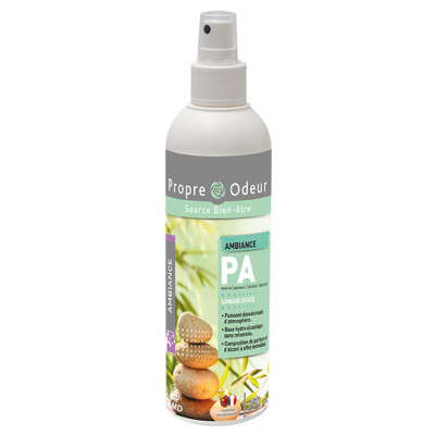 Parfum d'ambiance AMBIANCE 250ML